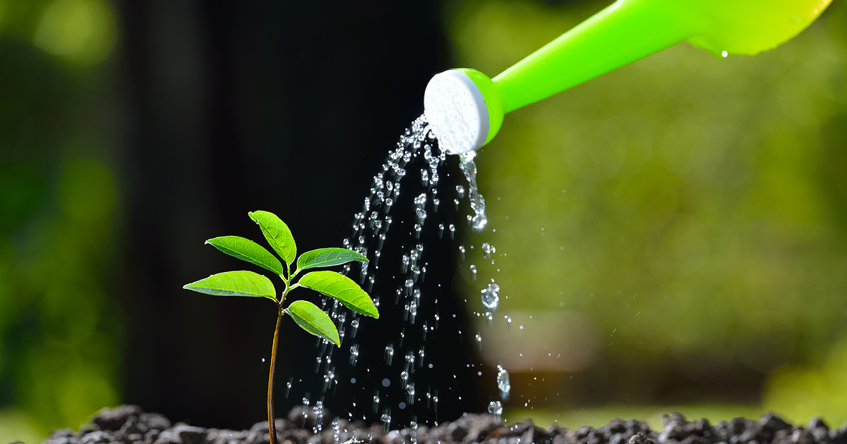 Supercharging retirement: Tax benefits and planning opportunities with cash balance plans