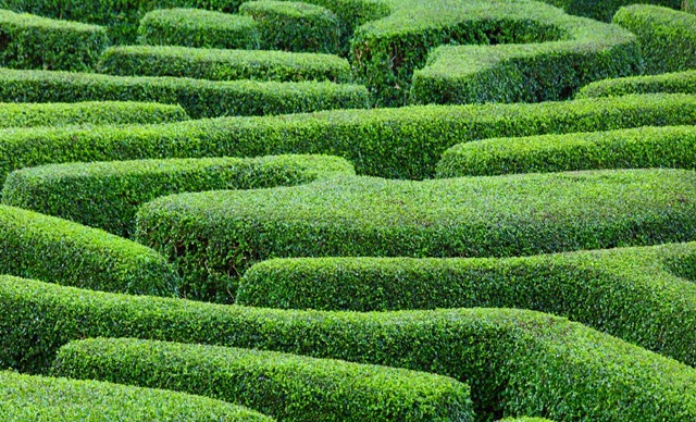 Hedge funds: Tax structuring, planning, and compliance